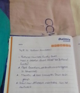 Topic 3: Rational Numbers Rational Number family tree: Make a ... | Filo