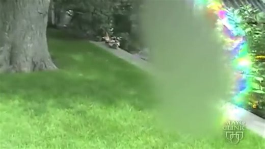 Neurologists reveal what it's really like to receive a vision from God