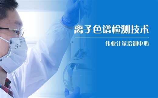 离子色谱检测技术