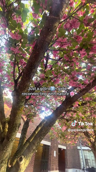 Reconnect with Nature: Enjoy the Beauty of Spring Flowers