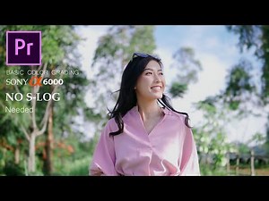 Cara Color Grading ala Video Iklan Adobe Premiere Pro | Sony a6000