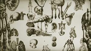 Vintage Science Human Anatomy Background