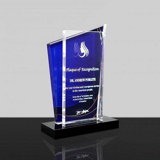 Personalized Acrylic Desk Trophy – Custom Award Plaque for Achievement or Special Recognition | Victory Trophy - Etsy
