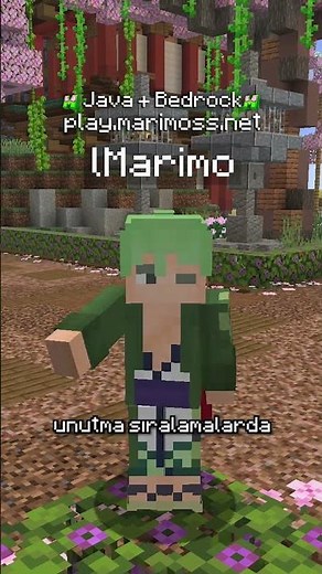 The Minecraft Server You Can Play During Summer Break!