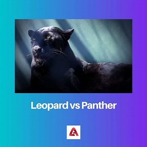 Leopard vs Panther : différence et comparaison