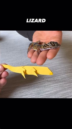 Origami World on Instagram: "Origami Lizard Tutorial #origami #origamichallenge #origamiworld #diy #papercraft #lizard"