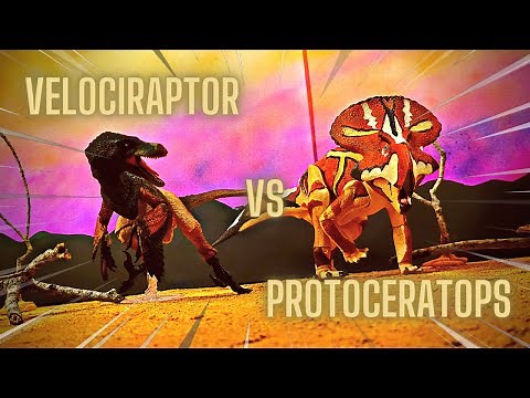 Velociraptor Vs Protoceratops - Stop Motion With Dinosaurs