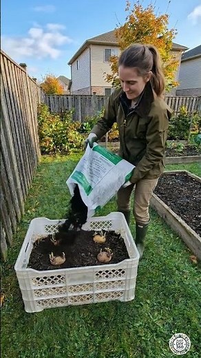 DIY Crate Organic Potato Planter – Easy Backyard Farming #potato #organic #potatolovers #plantlover
