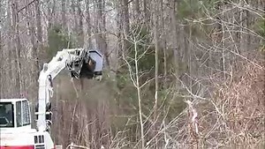 Tree Slayer in Action!