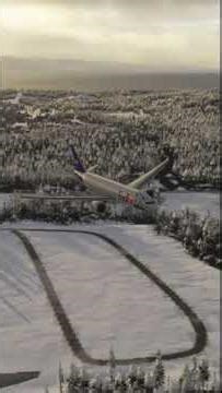 SHOCKING Flight Simulator Crashes - Can You Survive? 142