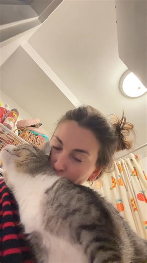 1.1K views · 43 reactions | #funnycat #catscomedy | Jasper Cat | Facebook