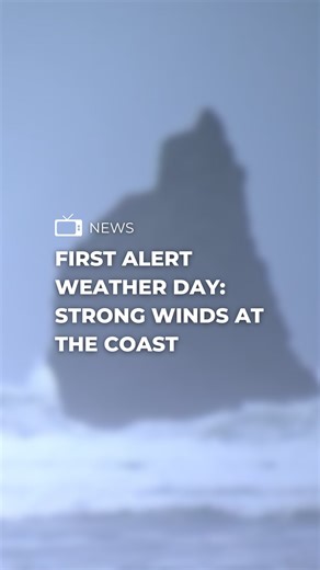4.1K views · 357 reactions | Today is a First Alert Weather Day at the coast as we are expecting rain, showers, and gusty south winds coming in up to 55 mph and potentially some downed trees or tree limbs which could cause some power outages. More at KPTV.com | FOX 12 Oregon | Facebook