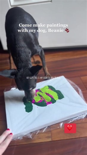 Please message me if you would like to buy a painting made by beanie or donate! These paintings help her earn money to pay for her insulin & pancreatitis treatments! ❤️💕 Paintings are $25.00 with shipping and taxes included, Beanie and I are so grateful for your support! ❤️ #fyp #support #dogs