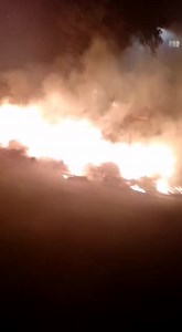 12K views | Video Star on Reels | Facebook