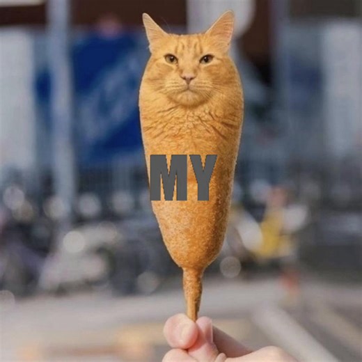 Introducing Cat to Dog: A Fun Animal Encounter