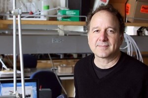 Ken Caldeira - Alchetron, The Free Social Encyclopedia