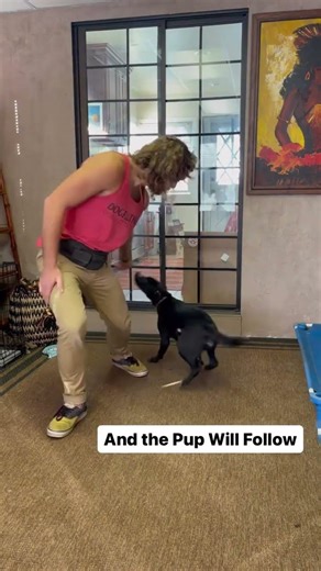 📚🤓Human Training Dog Training🐶🍪 In this video you’ll see me utilizing the Step Back Lure