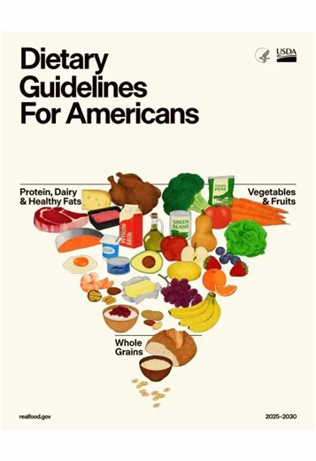 The US food pyramid has basically flipped and here are my thoughts #primalfoodaus #usfoodpyramid #animalbased #lowcarb #australia