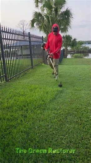 Cleaning | Cutting | Trimming | Mowing #shorts #satisfying #gardening