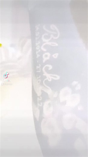 Tinkerbell on TikTok