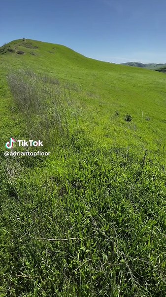 Exploring the Beauty of Windows Backgrounds