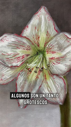 Te invitamos a descubrir el fascinante mundo de los insectos! No te pierdas Insectum, “Gigantes de un mundo diminuto”, una exposición pictórica y entomológica que une arte y ciencia de una forma única. 📅 hasta el 11 de julio de 2025 📍 Centro Cultural Ignacio Padilla 🎟️ Entrada libre ¡Acompáñanos con estos gigantes del mundo diminuto! | Secretaría de Cultura del Municipio de Querétaro