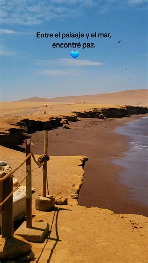Reserva Nacional de Paracas: Belleza natural