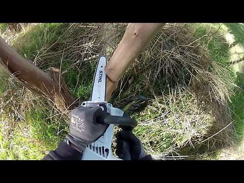 Stihl MSA 160 T review