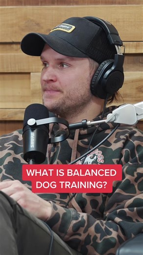 Balance does not solely come from the tools we use, it comes from looking at the dogs overall lifestyle and determining where we can make changes and adjustments for the success of the dog. No two dogs are alike, and we should not be treating them as such. PERIOT. 🫡 #nobaddogs #dogtrainingtips #dogtraining #dogsoftiktok #fyp #foryou #FastTwitchContest