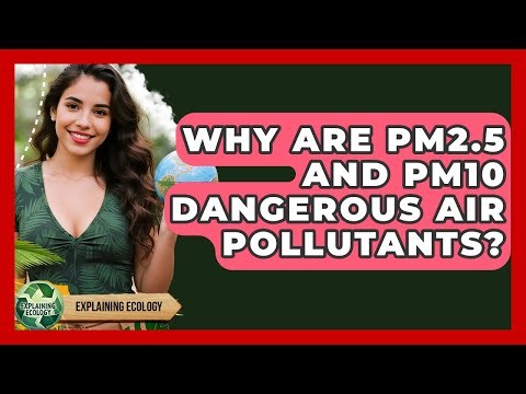 Why Are PM2.5 And PM10 Dangerous Air Pollutants? - Explaining Ecology