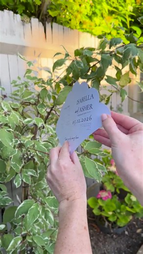 Wedding Program Fan Template | Download Edit in Canva | Garden Party | Minimalist Wedding | Summer Classy| Elegant Wedding | Modern Ceremony - Etsy