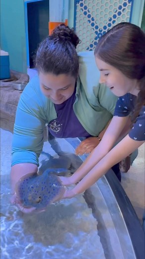 We're diving behind the scenes with our Cube Aquarist and Science...