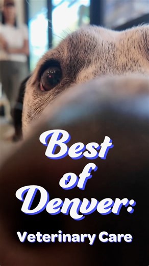 🐶🐾 As a devoted pet parent, you know your animals deserve the very best care. @splootvets is redefining pet care for owners and pets: friendly teams, cozy clinics, and even a treat bar for your furry friends, no appointment needed! Plus, Sploot’s membership saves you on care. Visit splootvets.com to explore all the benefits, and book through the link in bio to receive $50 off your first visit. | Wundervue