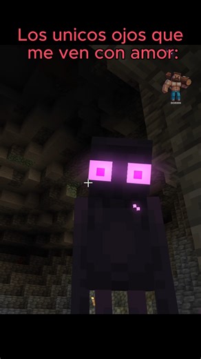 303K views · 14K reactions | El mejor paquete de texturas ♥️ #humor #minecraft #minecraftfunny #minecraftmemes #reelsviralシ #videogames | Dorian Builds | Facebook