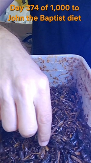 Which will you eat: whole locusts or Biblical Energy Bars? #locusttoeat #biblicalfood