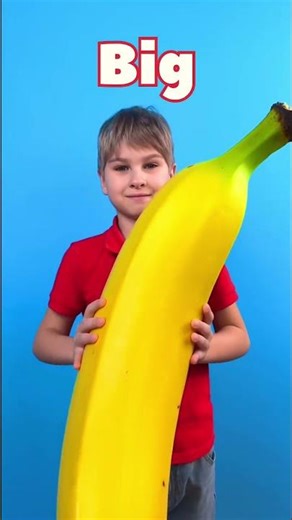 Size Matters: The Ultimate Showdown! 🚀😄