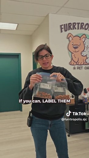 Essential Do's and Don'ts of Dog Boarding