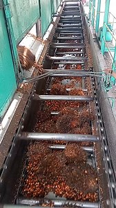 #Proses pengisian tandan buah segar di Ffb loading ramp membutuhkan perhatian extra agar pengiriman tidak terlalu banyak yang akan menyebabkan Ffb loading ramp melambat dan trip. • • #Reels_Viral #Fyp_Jangkauan #Fyp_Tayangan #Fbpro #Monetisasi | Ruliadi Saragih