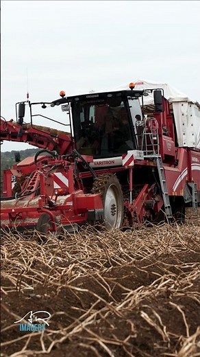 Grimme 220 digging potatoes #farming #agriculture #arimagery