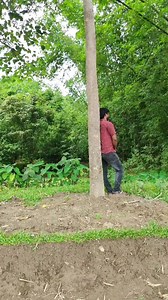 Funny magic tree viral video 🤣 #funny #magic #vfx #viral | Krishna Vfx