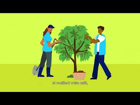 Qu'est-ce que le commerce équitable Fairtrade ?