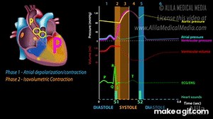 The Cardiac Cycle, Animation on Make a GIF