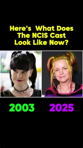 The NCIS Cast Today: A Look at Your Favorite Stars