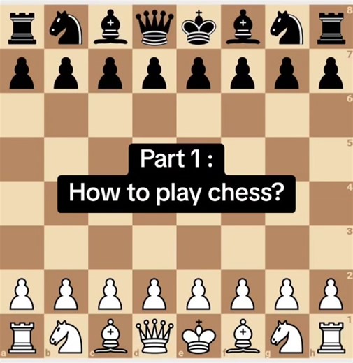 Part 1 : How to play chess? #dailychess2 #Chess Beginner Tips Kids #chess #chesstiktok