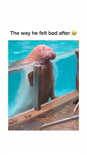 3.6K views · 27 reactions | Instant regret 2 | MDR Production | Facebook