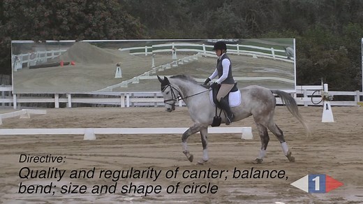 USEA 2018 USEF Beginner Novice Test B