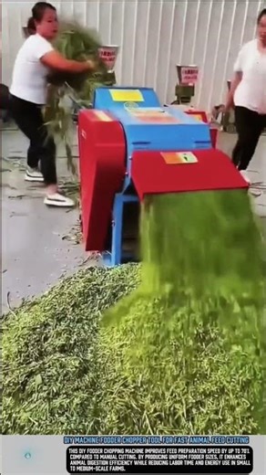 DIY Machine Fodder Chopper Tool for Fast Animal Feed Cutting