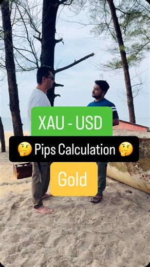 Neil Shinde on Instagram: "👉 XAU USD - Pips calculation ,. 1 0 points= 1 pip ,. 100 Points = 10 Pips #xauusd #pipscalculation #trading"