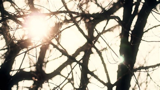 Canada Reads, CBC's battle of the books, is coming. Get to know the novel being defended by Bruce Poon Tip of G Adventures for Canada Reads 2016: Birdie by Tracey Lindberg, published by HarperCollins Canada. Learn more about the contenders at cbcbooks.ca. Tune in March 21-24, 2016. | CBC Books | Facebook