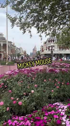 How to Meet Mickey Mouse at Magic Kingdom - Disney World Guide